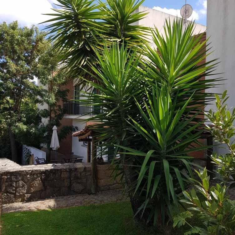 Villa Alto Do Sobreiro Escalos de Cima Exterior foto